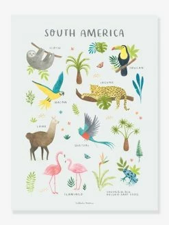 Affiche Animaux D'Amérique Du Sud Living Earth LILIPINSO Multicolore - Lilipinso