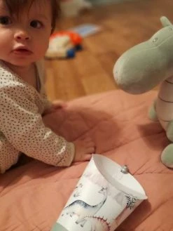 Coffret Lampe Nomade 5 En 1 Dinosauria MAISON POLOCHON Vert Sauge - Polochon 8 Coffret Lampe Nomade 5 En 1 Dinosauria MAISON POLOCHON Vert Sauge - Polochon -Philips Shop coffret lampe nomade 5 en 1 dinosauria maison polochon 2