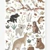 Stickers Animaux D'Australie Lilydale LILIPINSO Gris - Lilipinso -Philips Shop stickers animaux daustralie lilydale lilipinso
